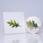 Medium Oak Leaf (code 85) - Sponge Its laser cut sponges designed by Rachel Byass