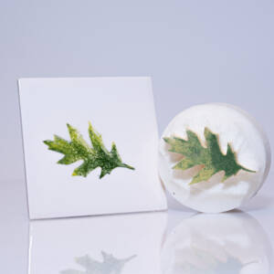 Medium Oak Leaf (code 85) - Sponge Its laser cut sponges designed by Rachel Byass