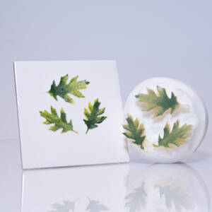 Medium Oak Leaves x 3 (Code 87) - Sponge Its laser cut sponge designed by Rachel Byass