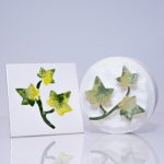 Large Group of Ivy leaves with branch (code 76) - Sponge Its Laser cut sponges designed by Rachel Byass)