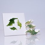 Medium Poppy Leaves x 3 (Code 89) - Sponge Its laser cut sponge designed by Rachel Byass