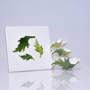 Medium Poppy Leaves x 3 (Code 89) - Sponge Its laser cut sponge designed by Rachel Byass