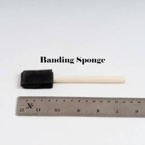 Banding Sponge for pottery with wooden handle X 1 (Code BS 1)