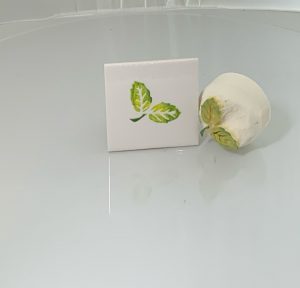 Medium Leaves x 2 with twig (code 84) - Sponge Its laser cut sponge designed by Rachel Byass