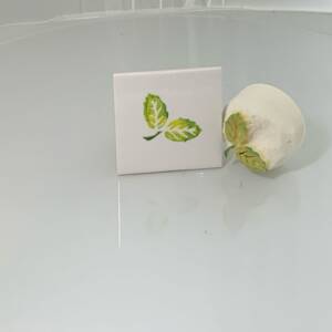 Medium Leaves x 2 with twig (code 84) - Sponge Its laser cut sponge designed by Rachel Byass