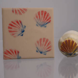 Small Scallop Shell  (code 96) - Sponge Its Laser cut sponge designed by Rachel Byass