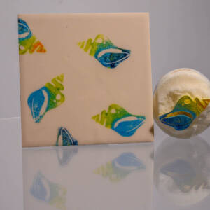 Small Conch shell (code 95) - Sponge Its Laser cut sponge designed by Rachel Byass