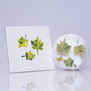 Large Sycamore leaves x 3 (code 82) - Sponge Its laser cut sponges designed by Rachel Byass