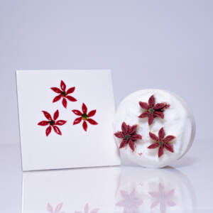 Large Poinsettia  with 3 flowers on one sponge (code 18) - Sponge Its Laser cut sponge designed by Rachel Byass