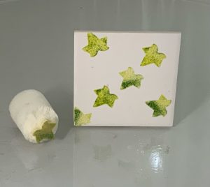 Small Ivy (Code 88) - Sponge Its Laser cut sponge designed by Rachel Byass