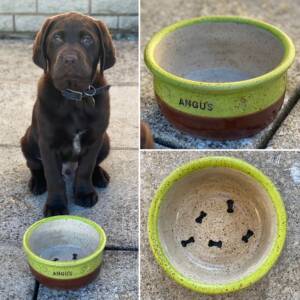 Hand thrown stoneware pet bowls