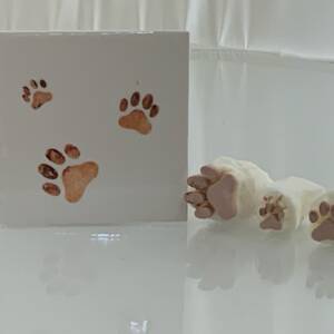 Large Different sized paws x 3 (code 133) - Sponge Its Laser cut sponge designed by Rachel Byass