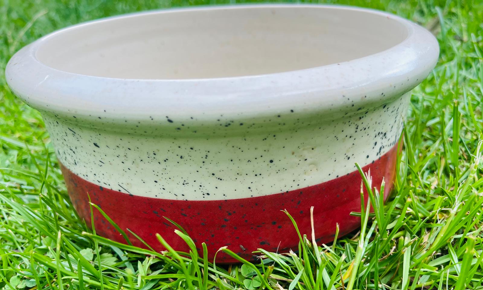 Hand thrown stoneware pet bowls - Image 19