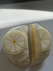 Medium sponge Orange/Lemon segments - Sponge Its Laser cut sponges designed by Rachel Byass