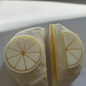 Medium sponge Orange/Lemon segments - Sponge Its Laser cut sponges designed by Rachel Byass